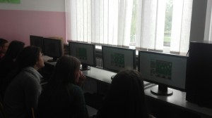 17-d