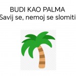 558904187_122193553364323465_7671032693404854020_n